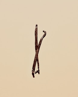 brown stick on yellow background