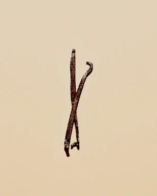 Elegant close-up of hands holding freshly harvested vanilla pods against a warm beige background.