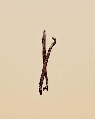Two dried vanilla beans are positioned upright against a plain beige background. The beans are dark brown, slightly twisted, and have a rough texture.