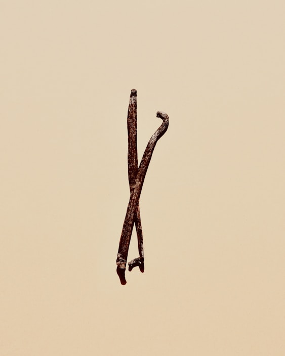 Two dried vanilla beans are positioned upright against a plain beige background. The beans are dark brown, slightly twisted, and have a rough texture.