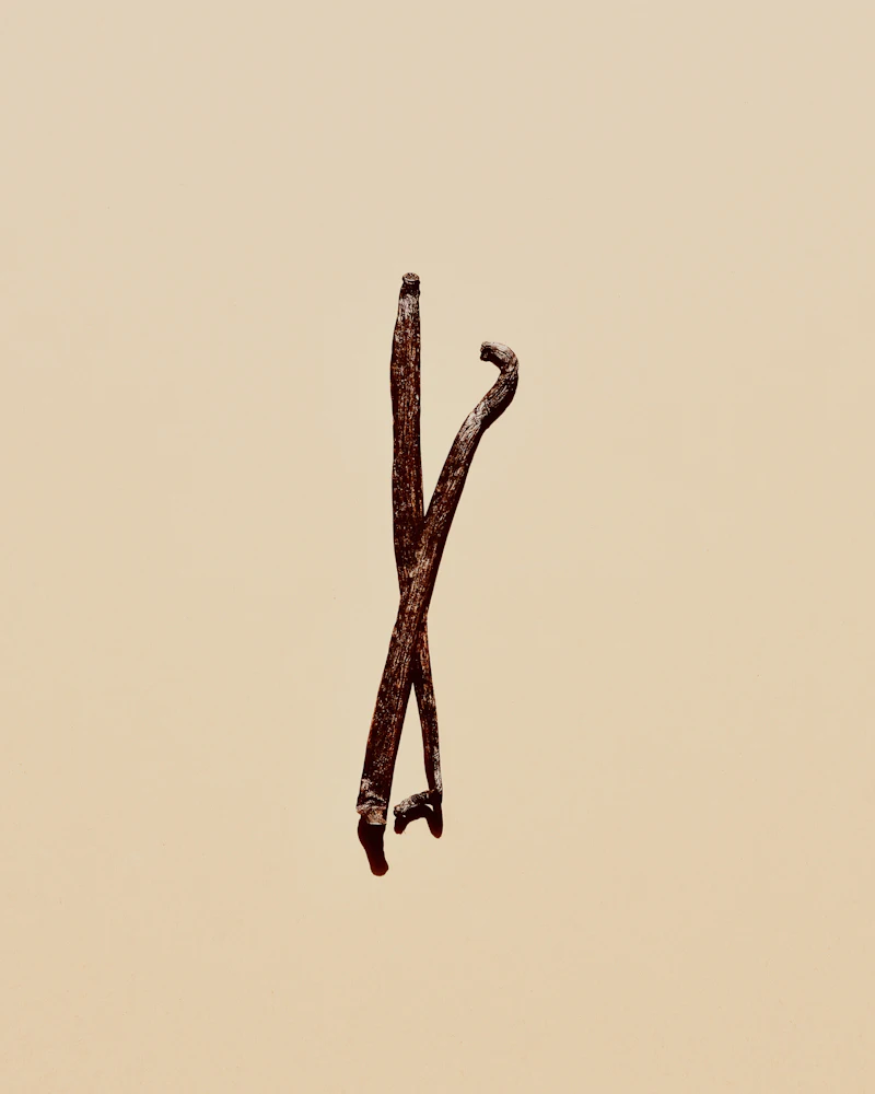 Batang vanili