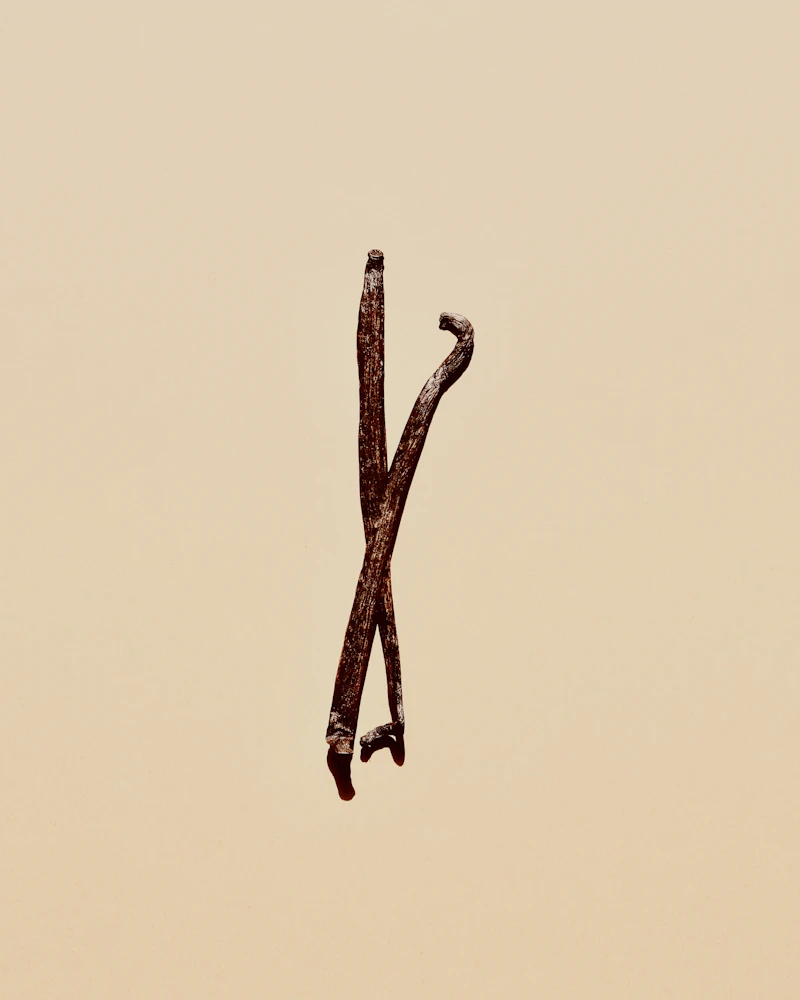 Close-up of a single split vanilla bean pod