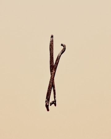 Exploring the Exquisite Qualities of Indonesian Vanilla