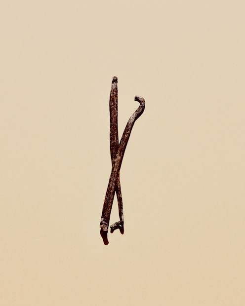 Two dried vanilla beans are positioned upright against a plain beige background. The beans are dark brown, slightly twisted, and have a rough texture.