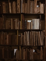 A wooden bookshelf filled with pieces of wood shaped like books. Some pieces have text or drawings on them, and the wood varies in color and texture, creating an earthy, rustic look.