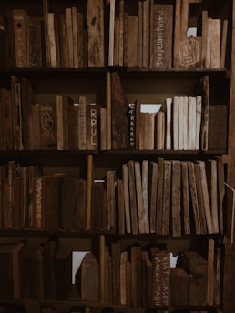 A wooden bookshelf filled with pieces of wood shaped like books. Some pieces have text or drawings on them, and the wood varies in color and texture, creating an earthy, rustic look.