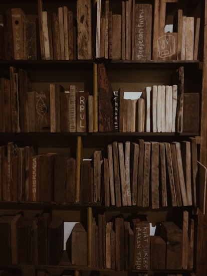 A wooden bookshelf filled with pieces of wood shaped like books. Some pieces have text or drawings on them, and the wood varies in color and texture, creating an earthy, rustic look.