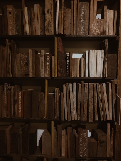 A wooden bookshelf filled with pieces of wood shaped like books. Some pieces have text or drawings on them, and the wood varies in color and texture, creating an earthy, rustic look.