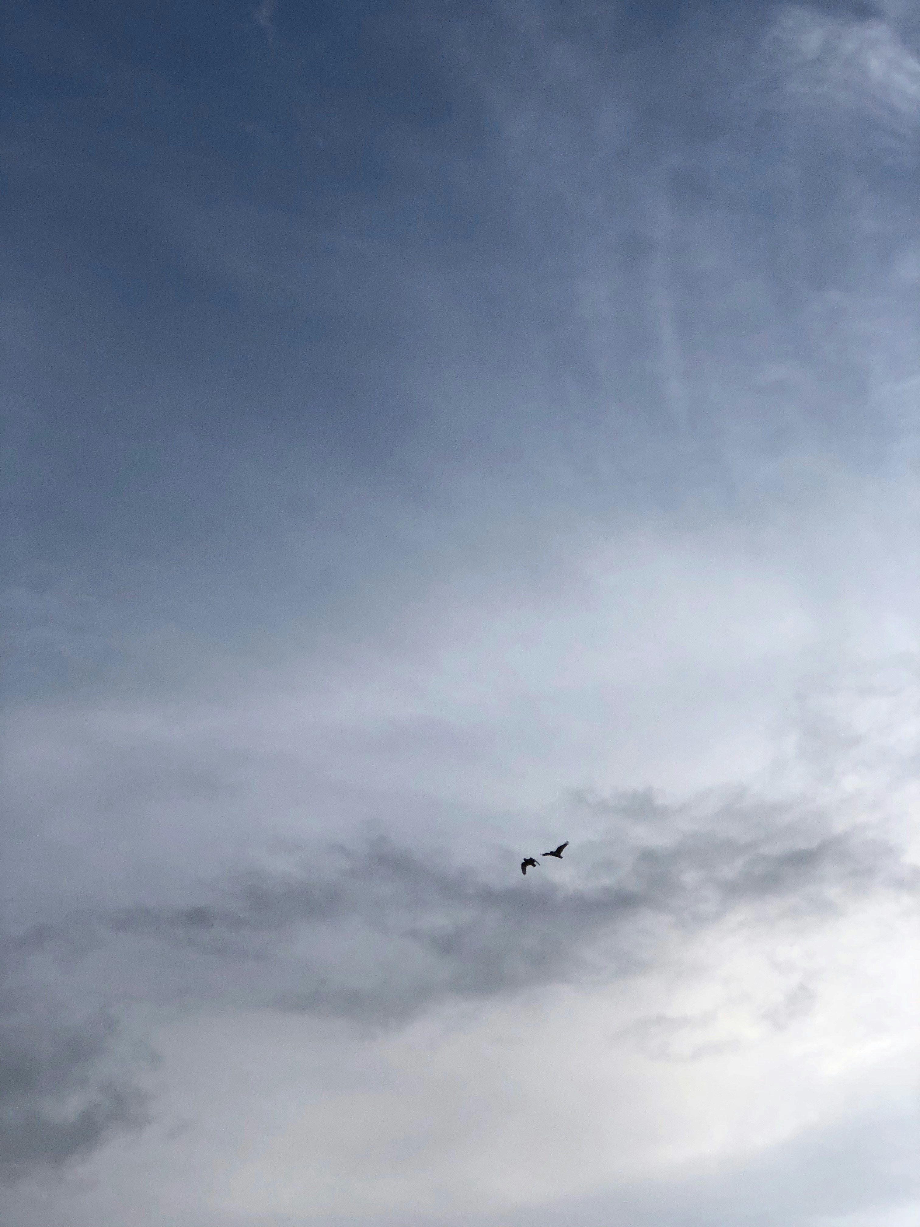 Photo by choona_fish