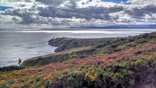 green grass field near body of water under white clouds during daytime in Howth Ireland