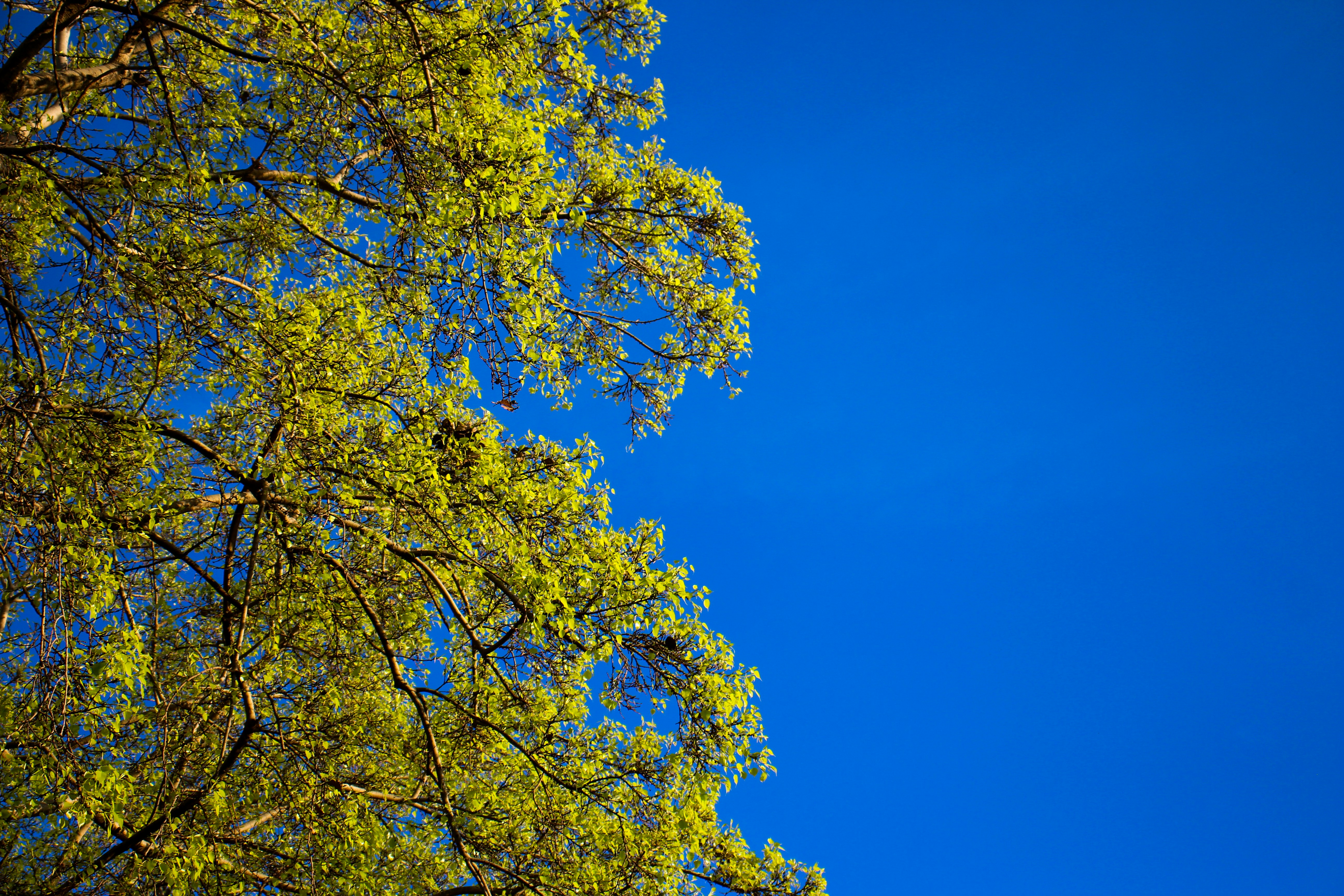 Photo by michelenstudios