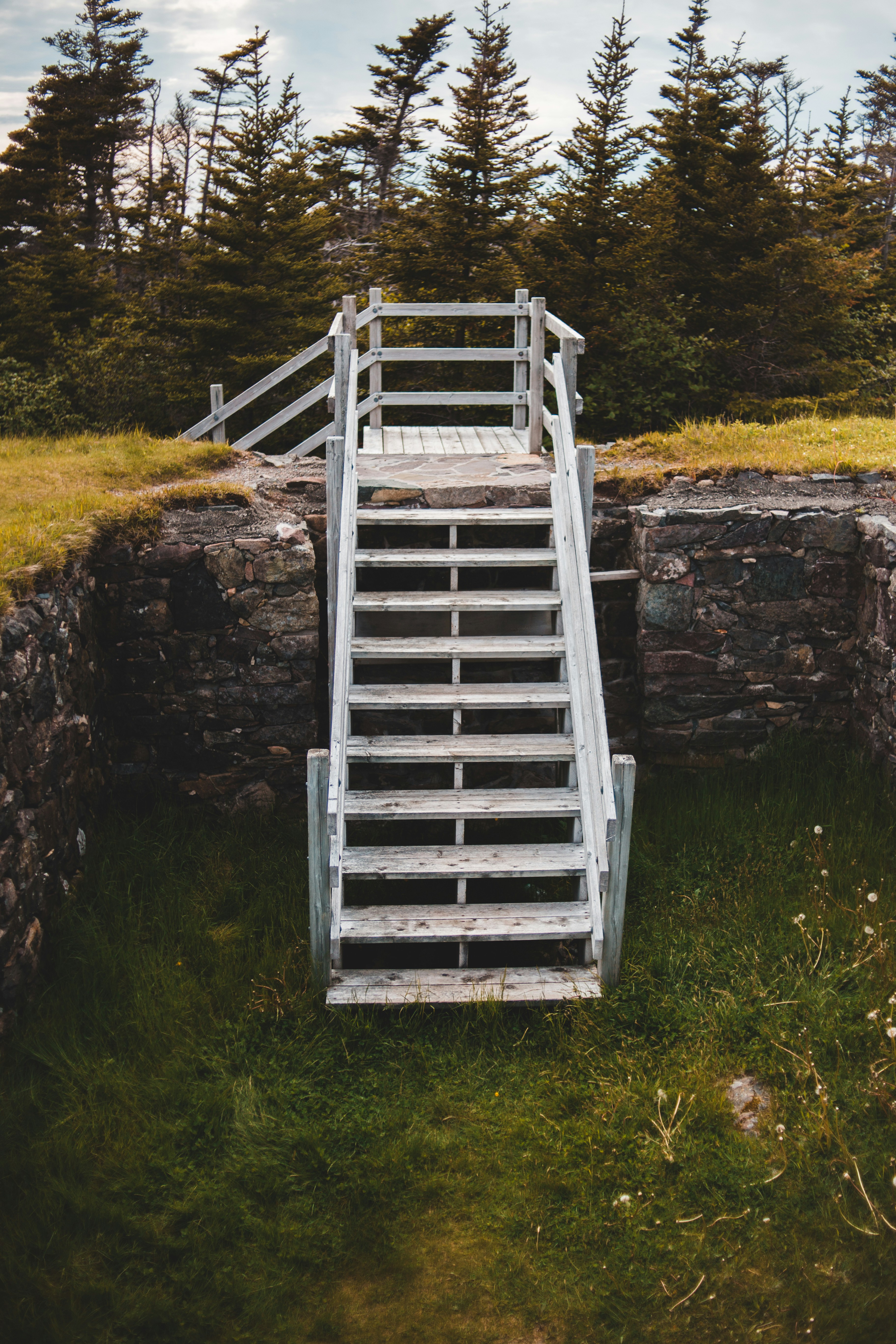 white wooden ladder on green grass field