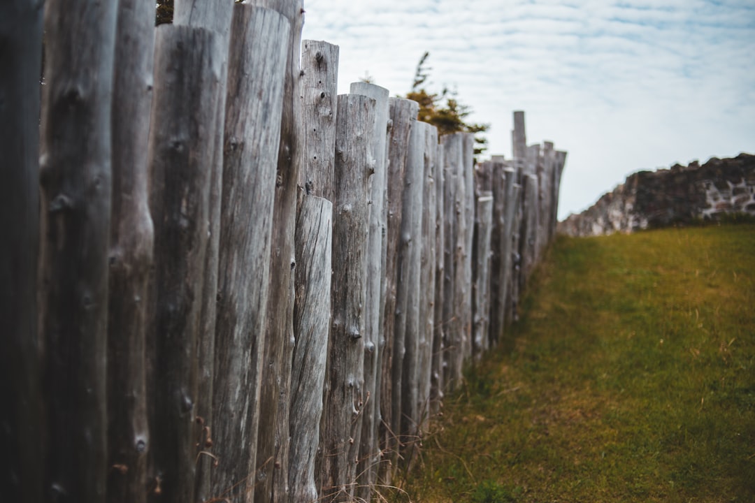 gray wooden fence on green grass field