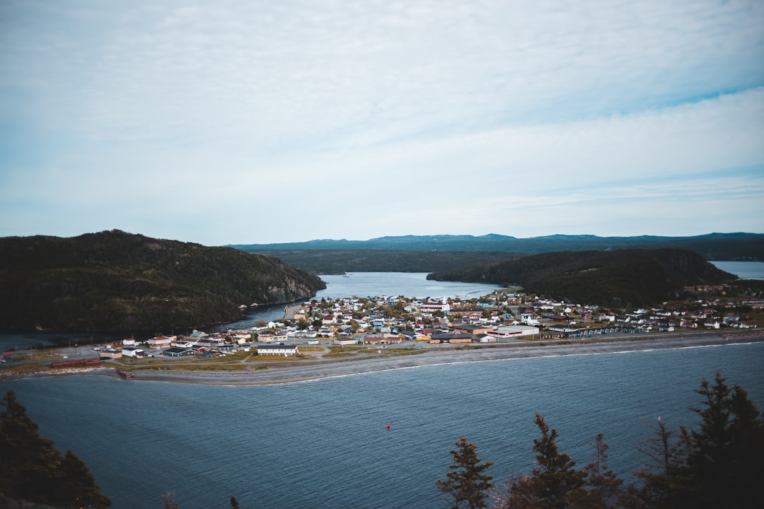 aerial view of city near body of water during daytime