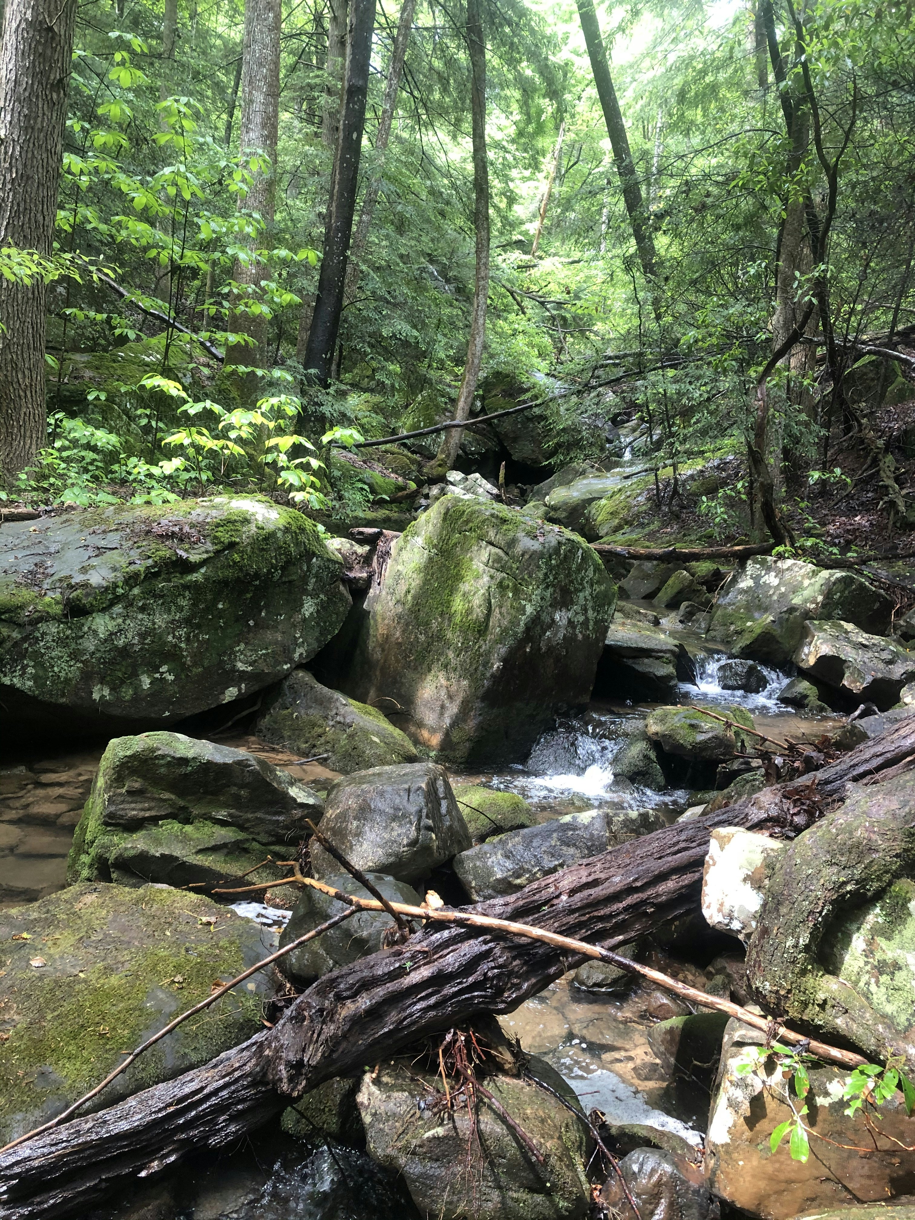 Photo by brice_cooper18