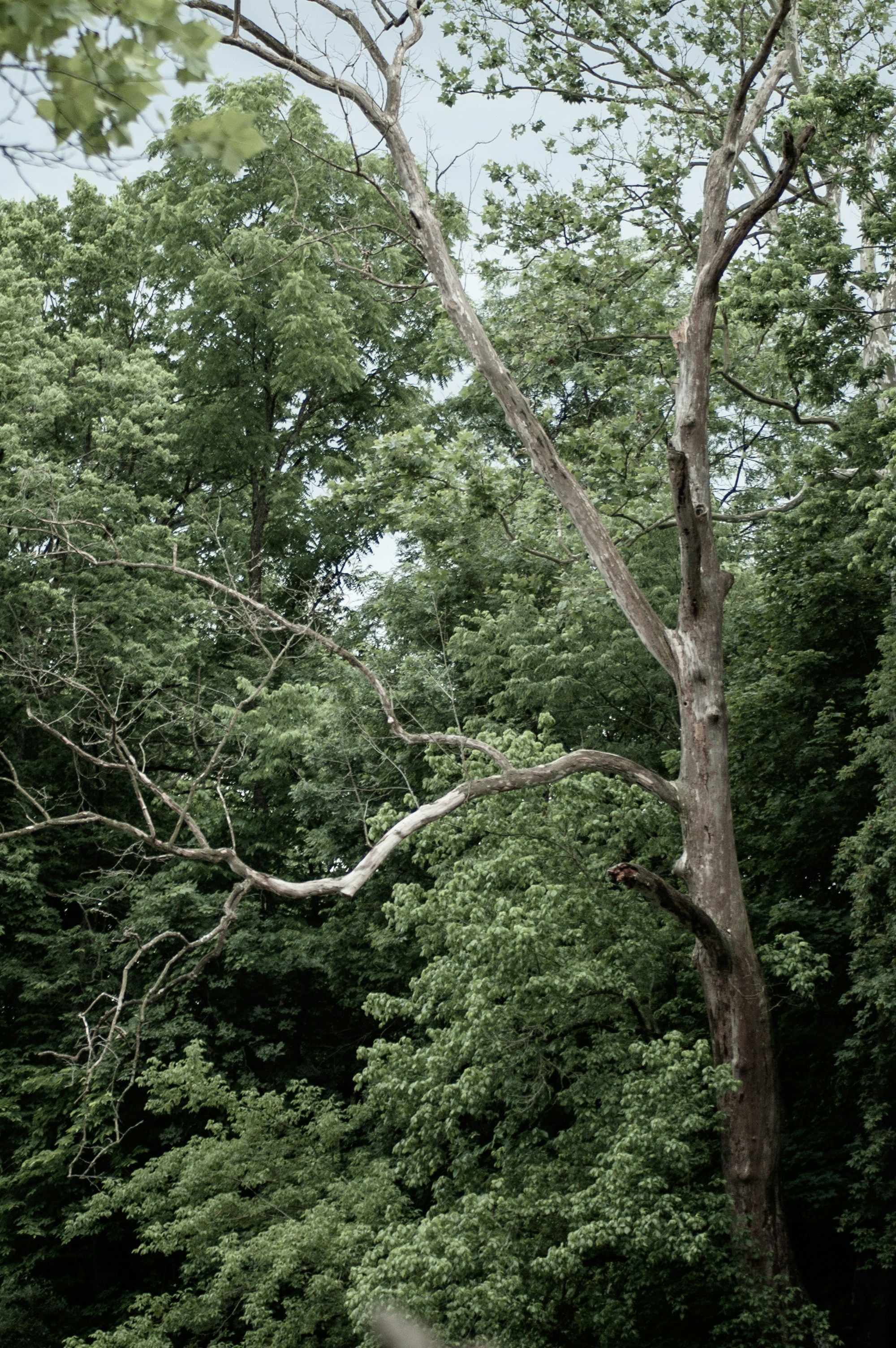 Photo by johnmathews