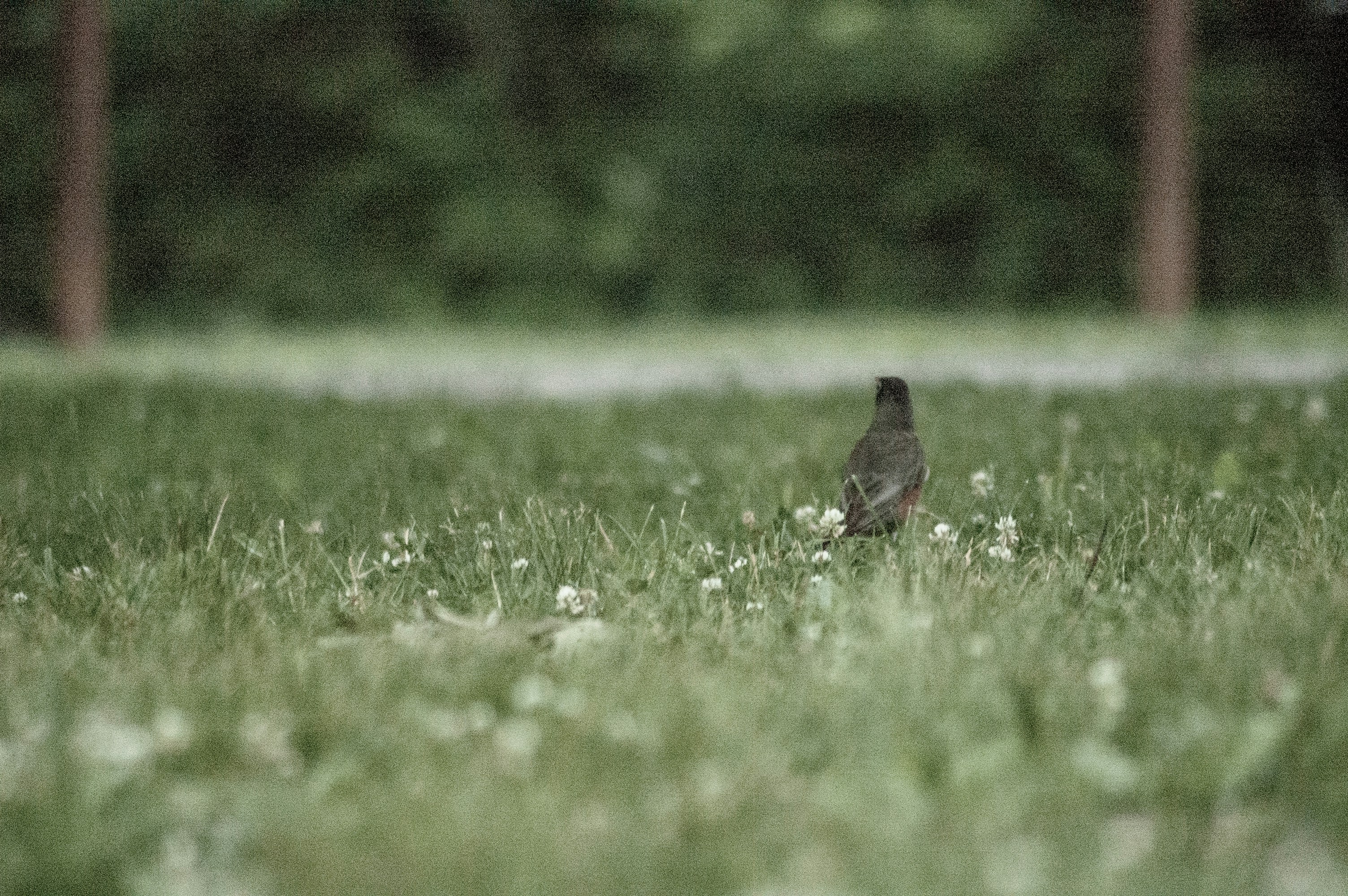 Photo by johnmathews