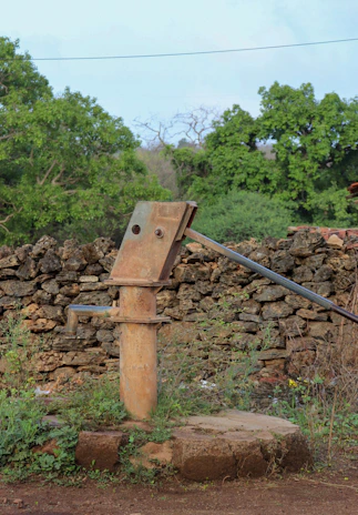 A žalias srautas pump installed in a thriving vegetable garden under soft morning light.