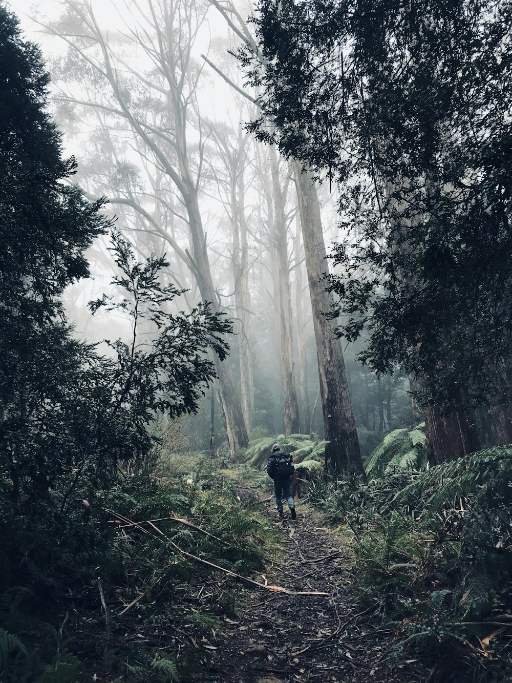 person in green jacket walking on forest during daytime