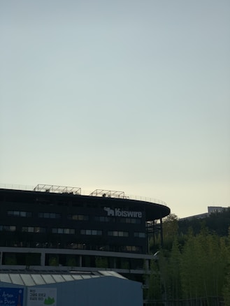 A modern building with dark exterior and multiple windows is partially visible. The building features the signage 'loiswire' on the upper part. The background consists of a clear sky with a light gradient from blue to pale yellow, and there are tall green trees partially visible. There appears to be a greenhouse or glass structure in the lower left corner.