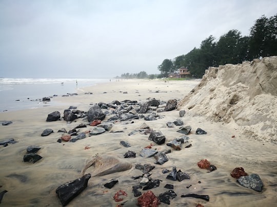 black stones on beach shore during daytime in Malvan India