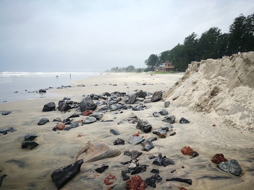 black stones on beach shore during daytime