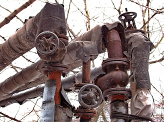 A collection of old, rusted industrial pipes and valves connected together. The pipes have a worn-out appearance and are wrapped in tattered insulation material. The background shows leafless tree branches, indicating a possible outdoor setting during winter or early spring.