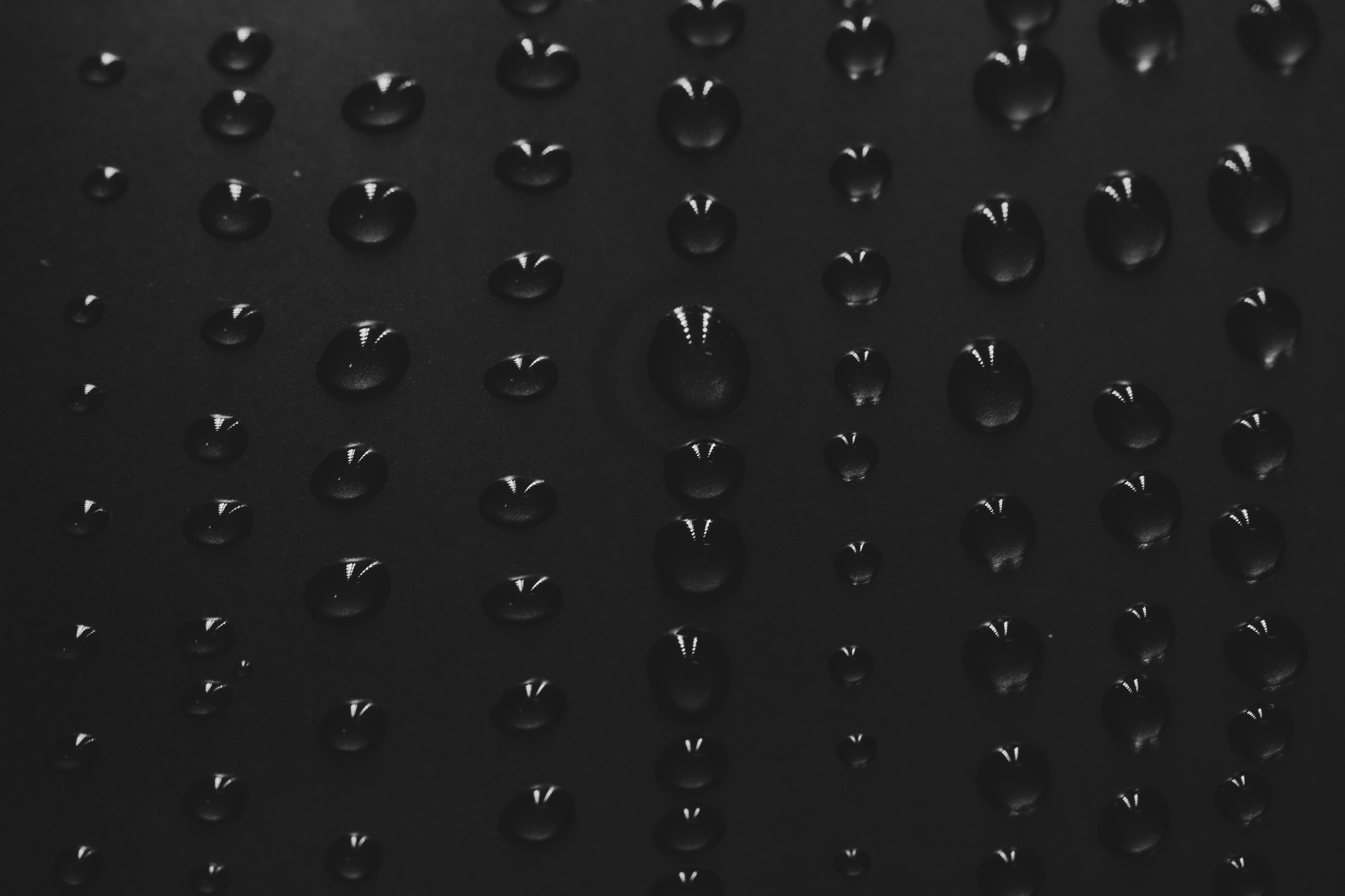 Photo by wildandbeyondbyvivek