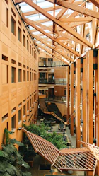 brown wooden building with green plants