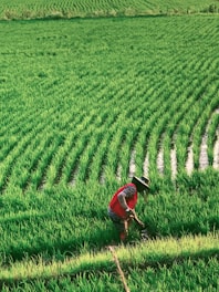 man in red shirt and black pants walking on green grass field during daytime