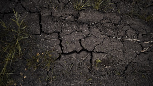 Cracked and dry soil surface with minor patches of green grass and small plants. The cracks are deep, indicating severe dryness. The soil appears dark and coarse, with some grass blades and thin plant roots scattered across the image.