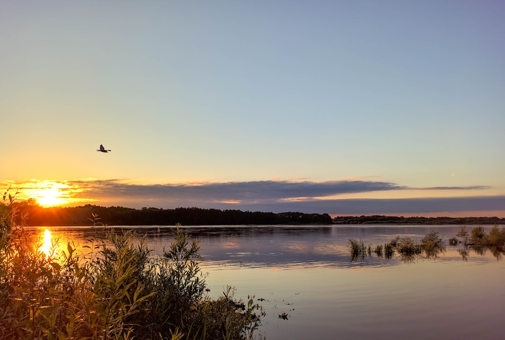 specchio d'acqua vicino all'erba verde durante il giorno