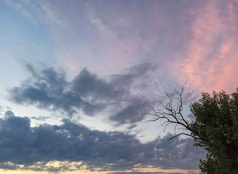 A dramatic sky with a mix of dark and light clouds creates a striking contrast above the horizon. A bare tree branch silhouetted against the sky is juxtaposed with lush green foliage, adding a natural frame to the scene.