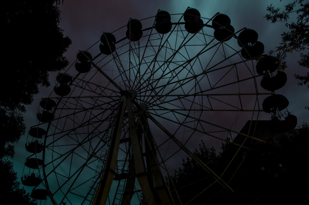 white and black ferris wheel