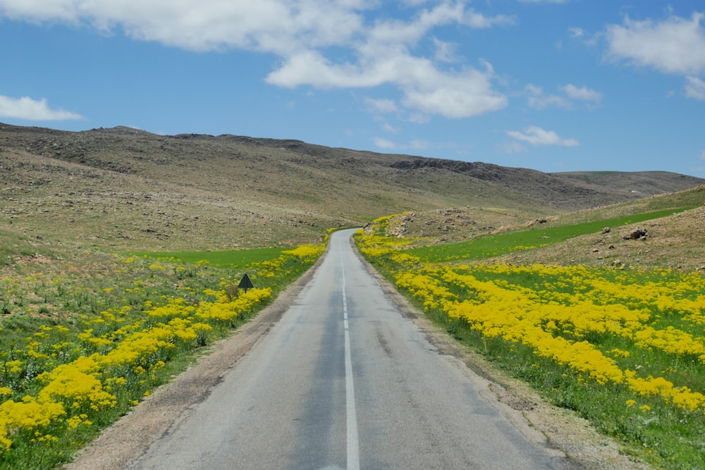 gray asphalt road between green grass field under blue sky during daytime