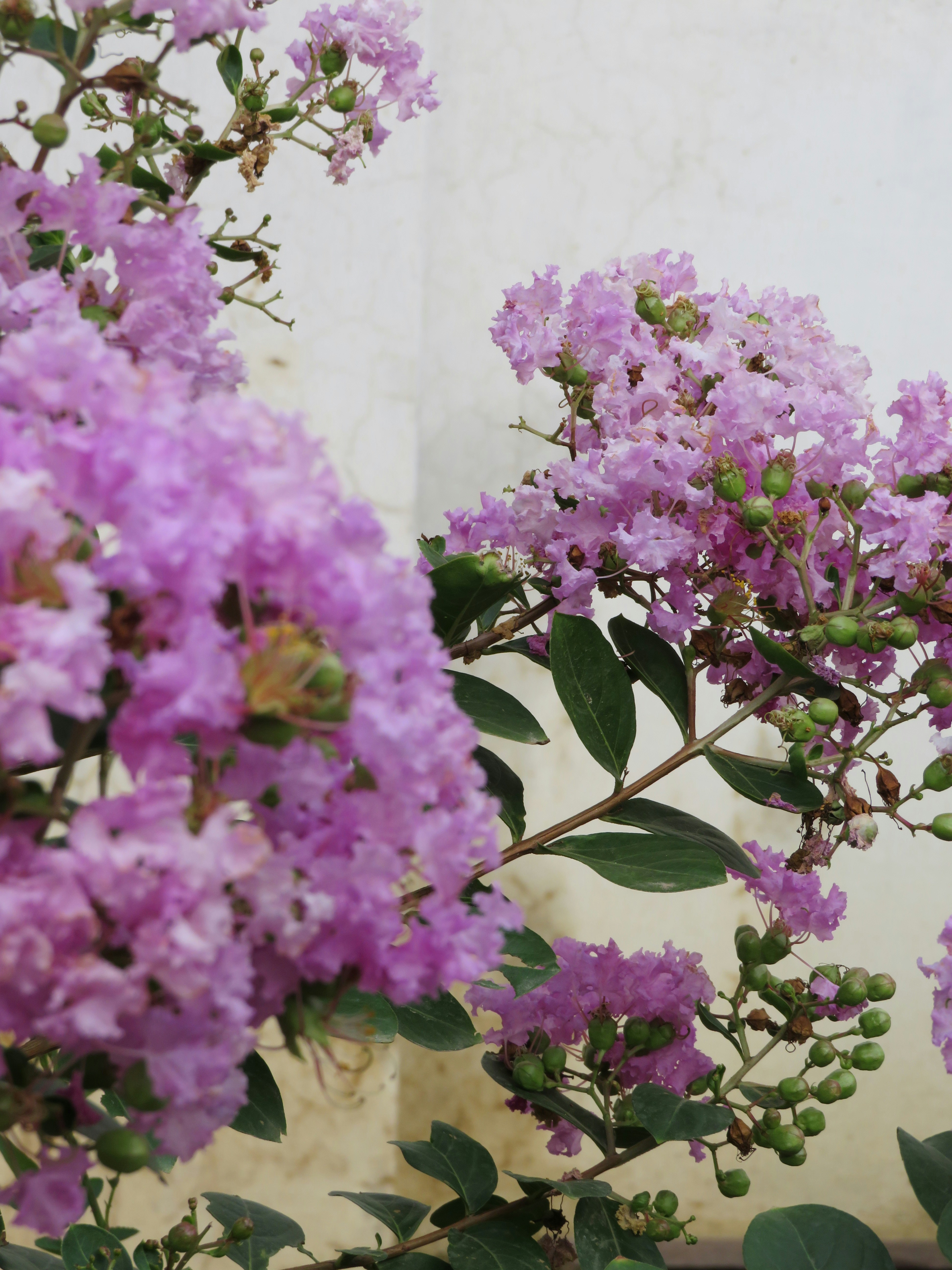 Photo by ___ananya___