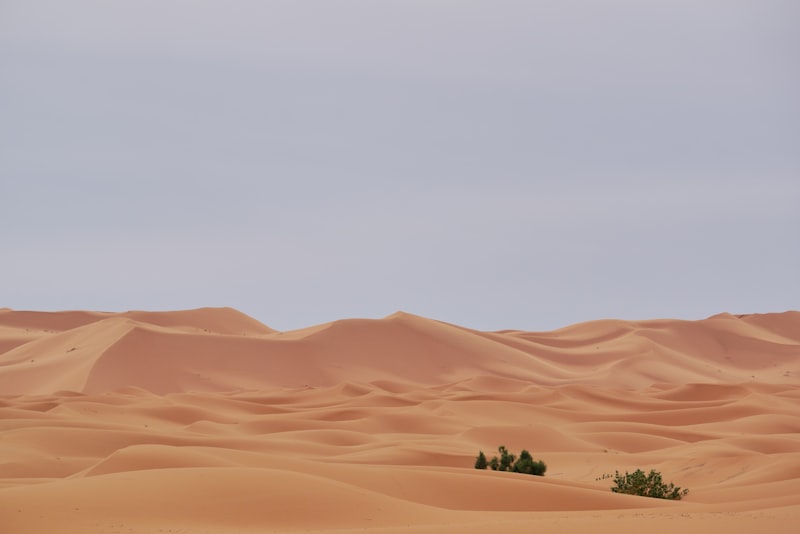 Dunas del desierto de Merzouga en Marruecos