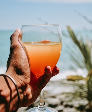 person holding clear drinking glass with orange liquid