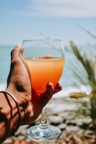 person holding clear drinking glass with orange liquid