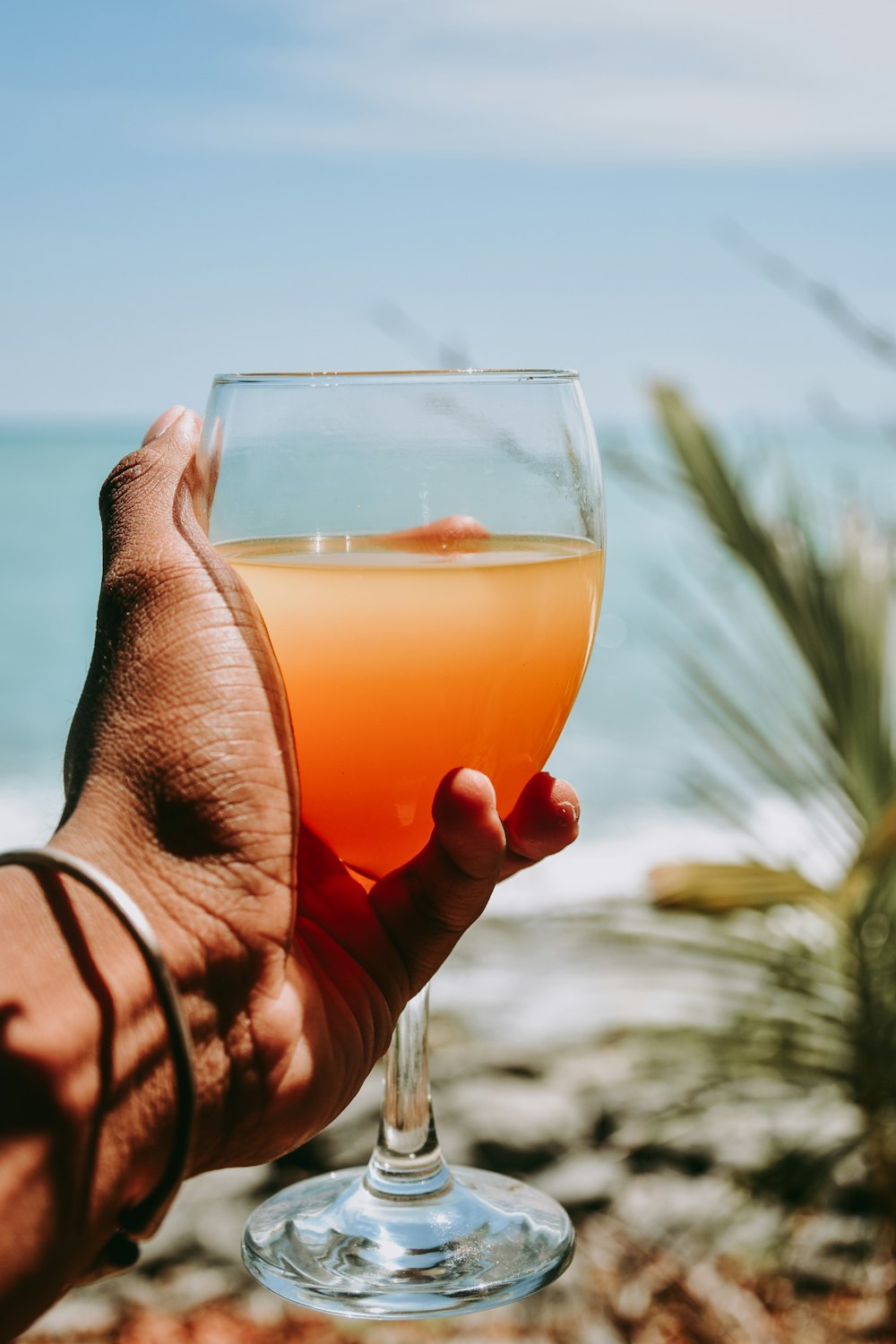 person holding clear drinking glass with orange liquid