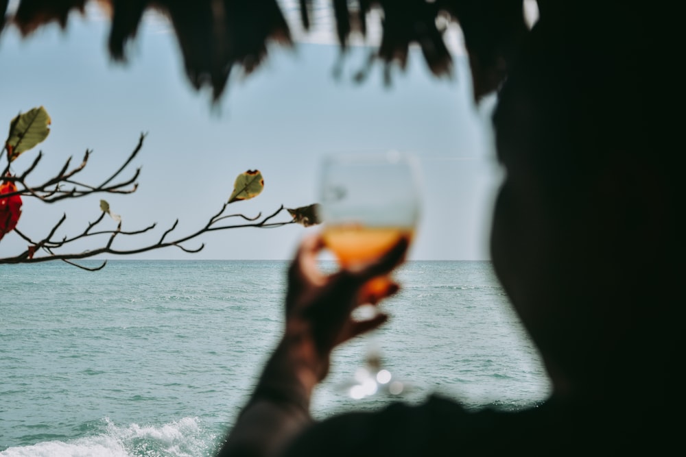 person holding clear wine glass with brown liquid