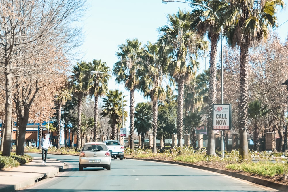 cars on road near trees during daytime