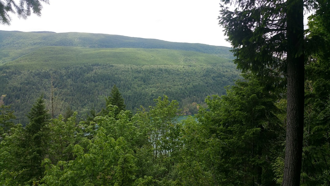 Tropical and subtropical coniferous forests photo spot Teapot Hill Lindeman Lake