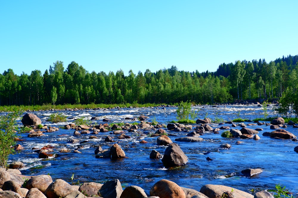 rocky river with rocks and trees under blue sky during daytime