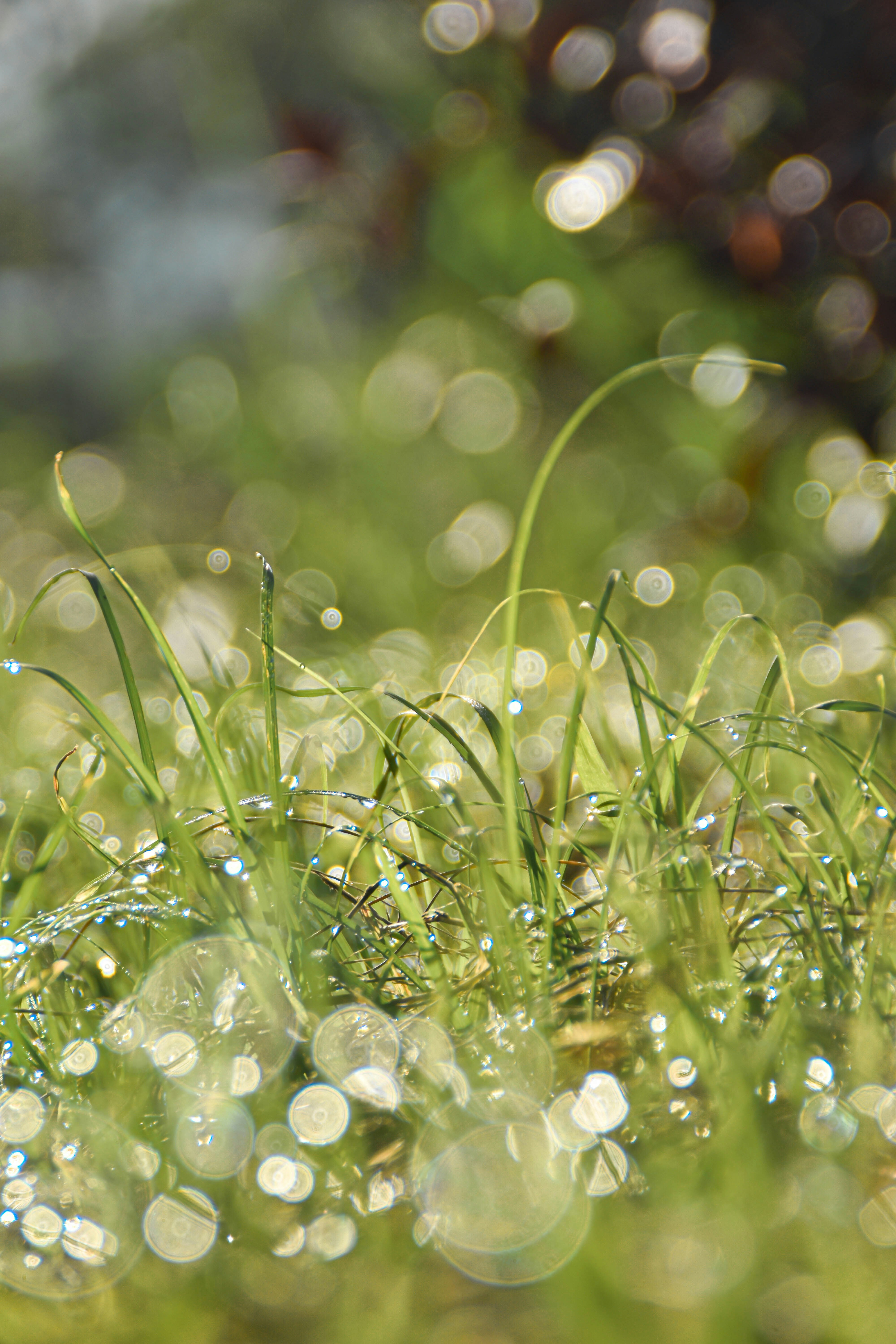 Photo by agusprasetyow