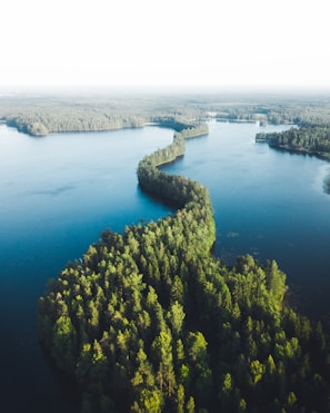aerial view of green trees near blue sea during daytime