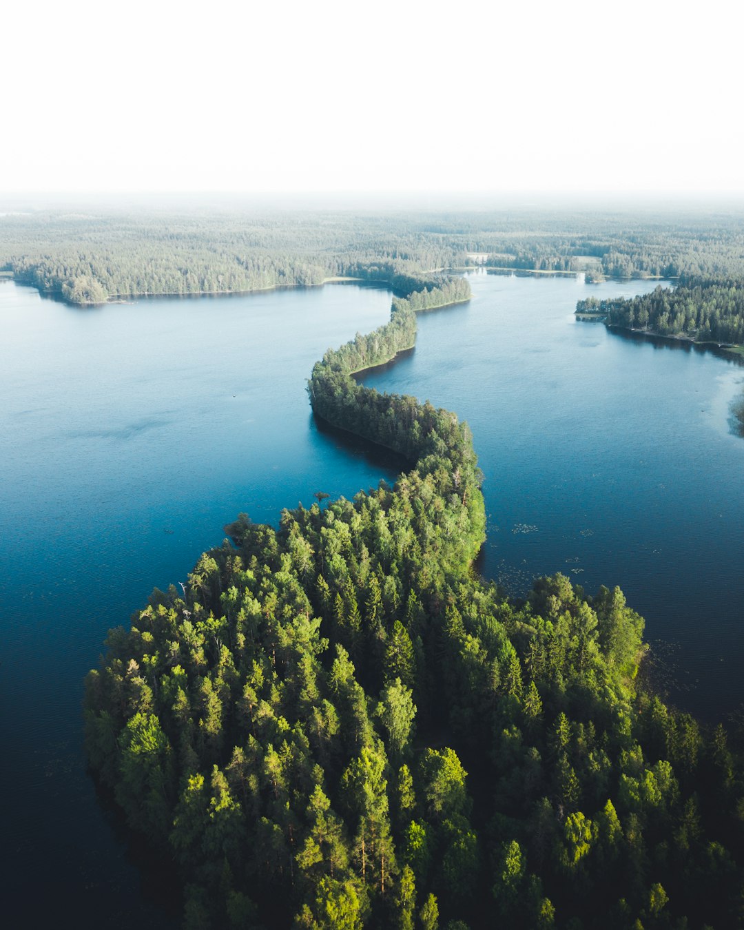 aerial view of green trees near blue sea during daytime in Liesjärvi Finland