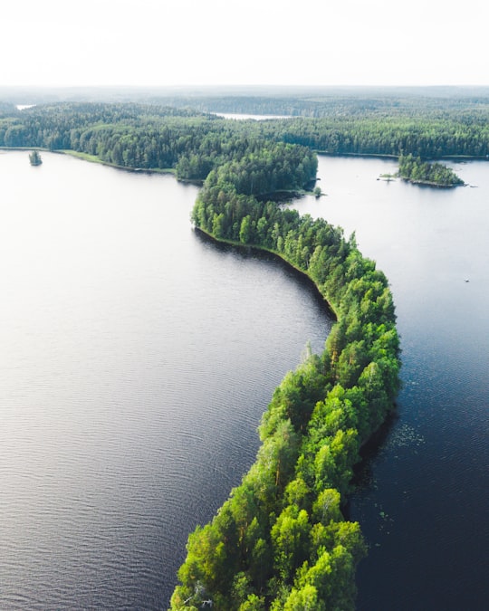 green moss on gray concrete bridge over river during daytime in Liesjärvi Finland