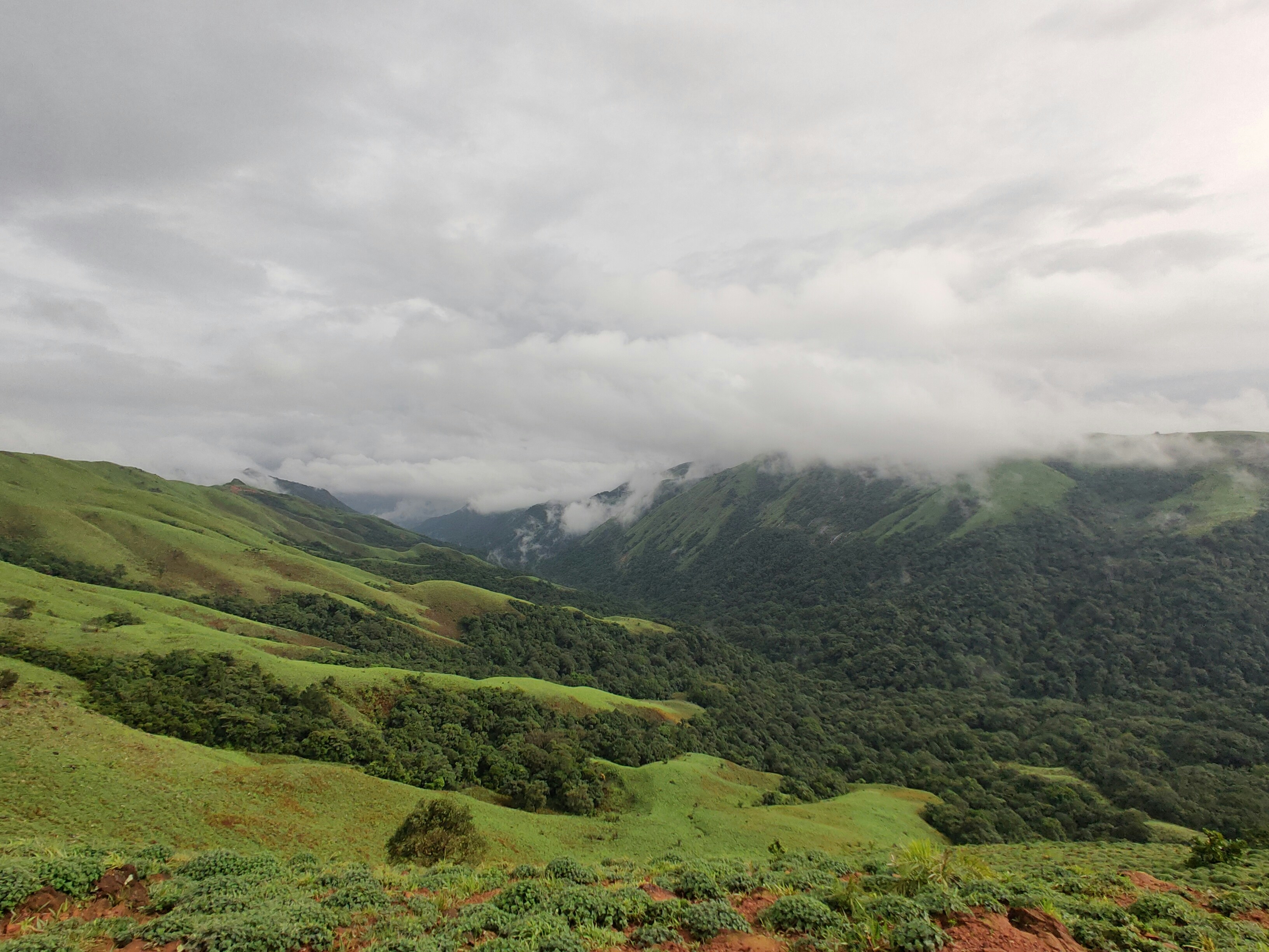 Photo by goutham_tl1