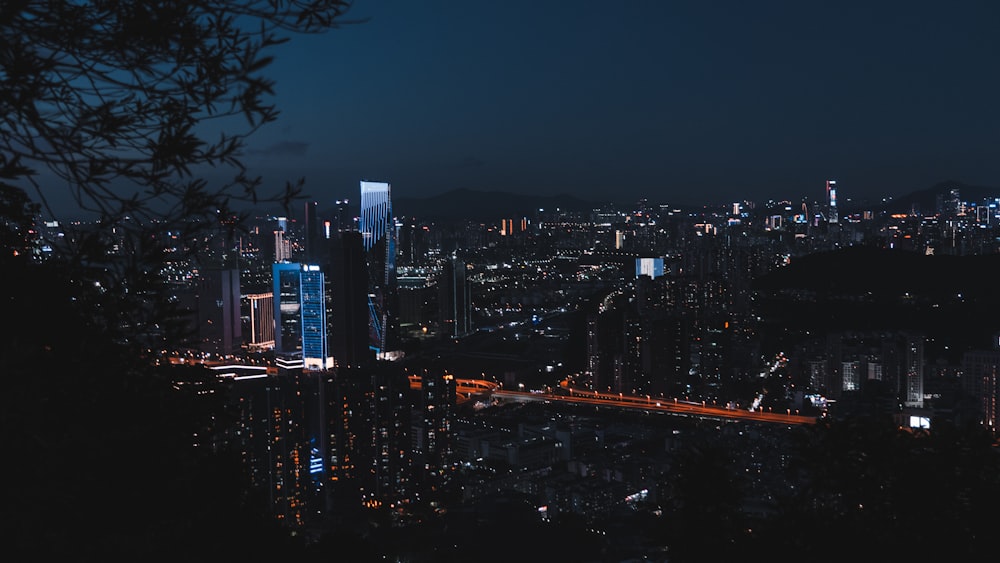 city skyline during night time